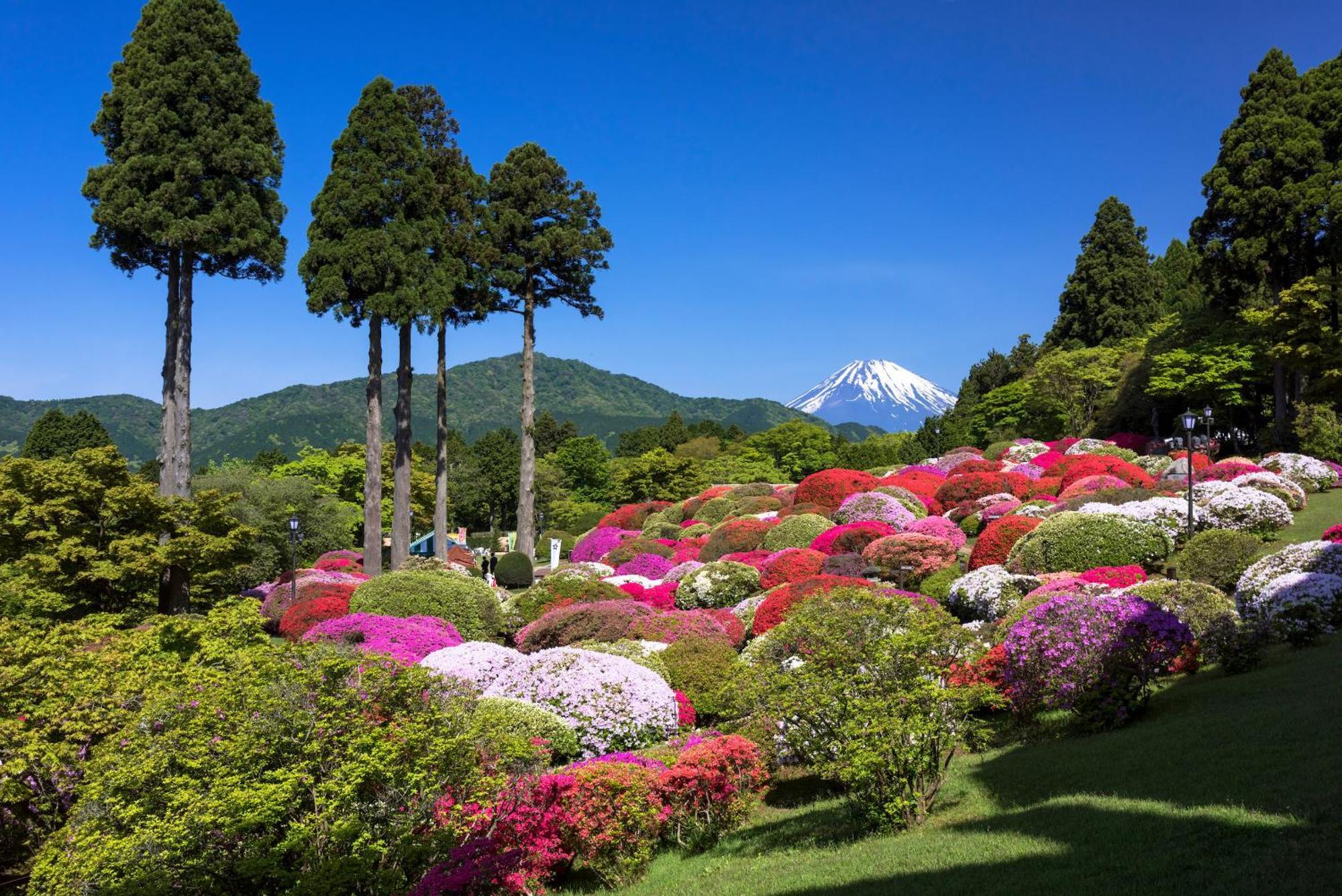 Oku Yugawara Sansuirou Hotel Bagian luar foto